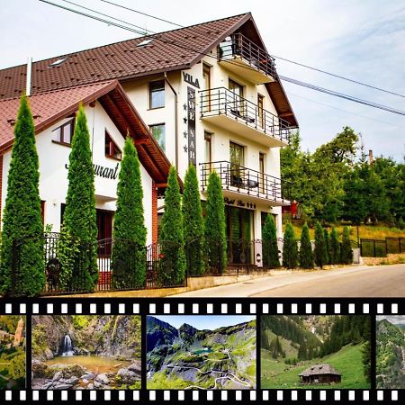 Vila Swe Sar Hotel Curtea de Argeş Buitenkant foto