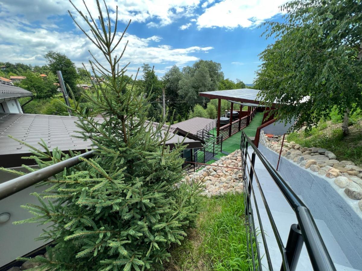 Vila Swe Sar Hotel Curtea de Argeş Buitenkant foto