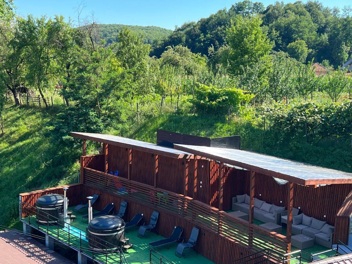 Vila Swe Sar Hotel Curtea de Argeş Buitenkant foto